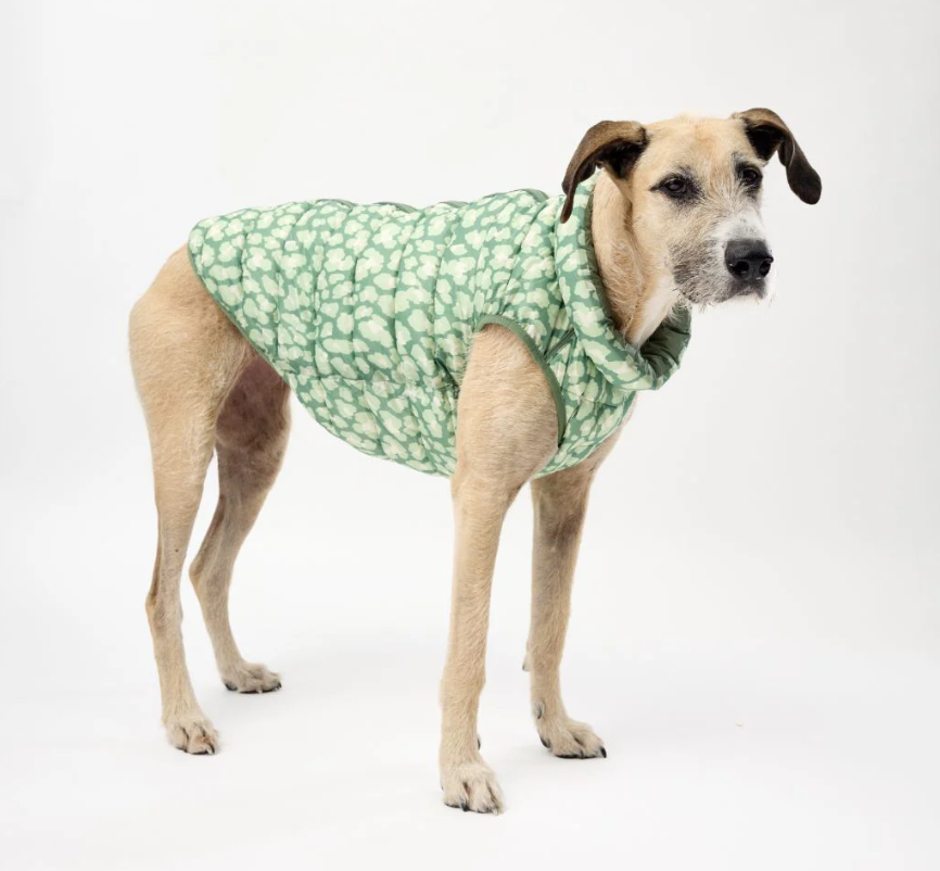 Snoot Style Winterproof Reversible Puffer - Green Print