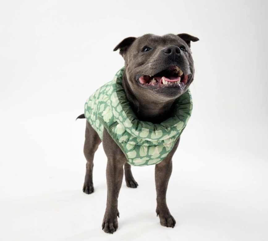 Snoot Style Winterproof Reversible Puffer - Green Print