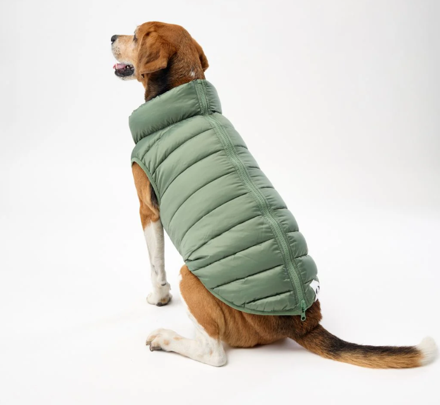 Snoot Style Winterproof Reversible Puffer - Green Print