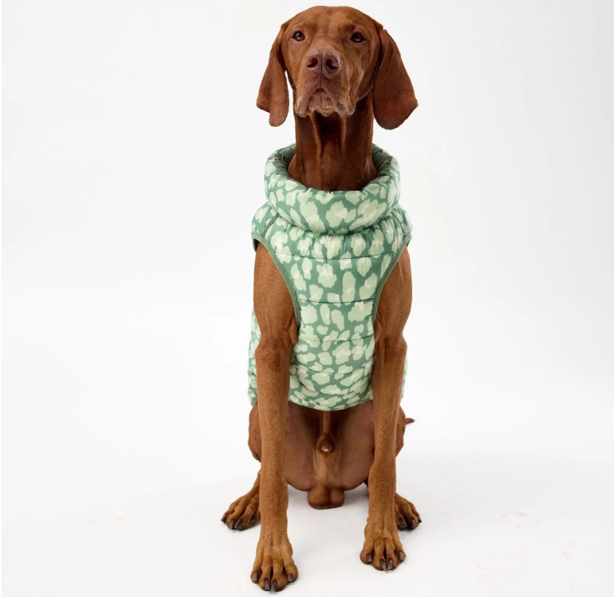 Snoot Style Winterproof Reversible Puffer - Green Print