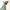 Snoot Style Winterproof Reversible Puffer - Green Print