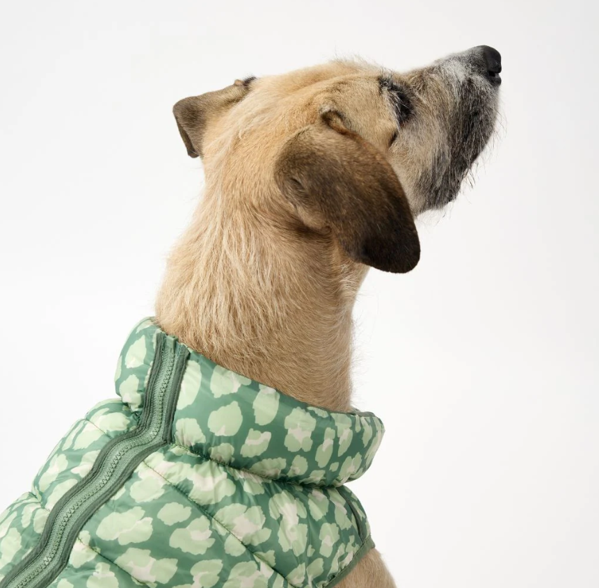 Snoot Style Winterproof Reversible Puffer - Green Print