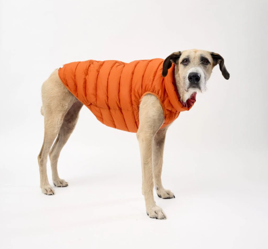 Snoot Style Winterproof Reversible Puffer - Orange & Red