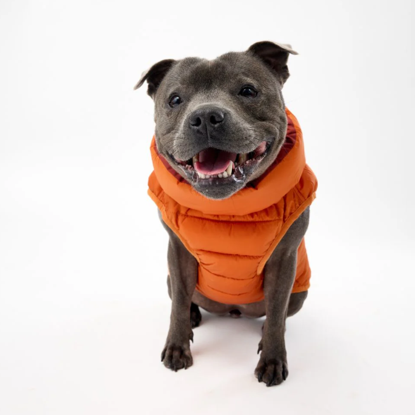 Snoot Style Winterproof Reversible Puffer - Orange & Red