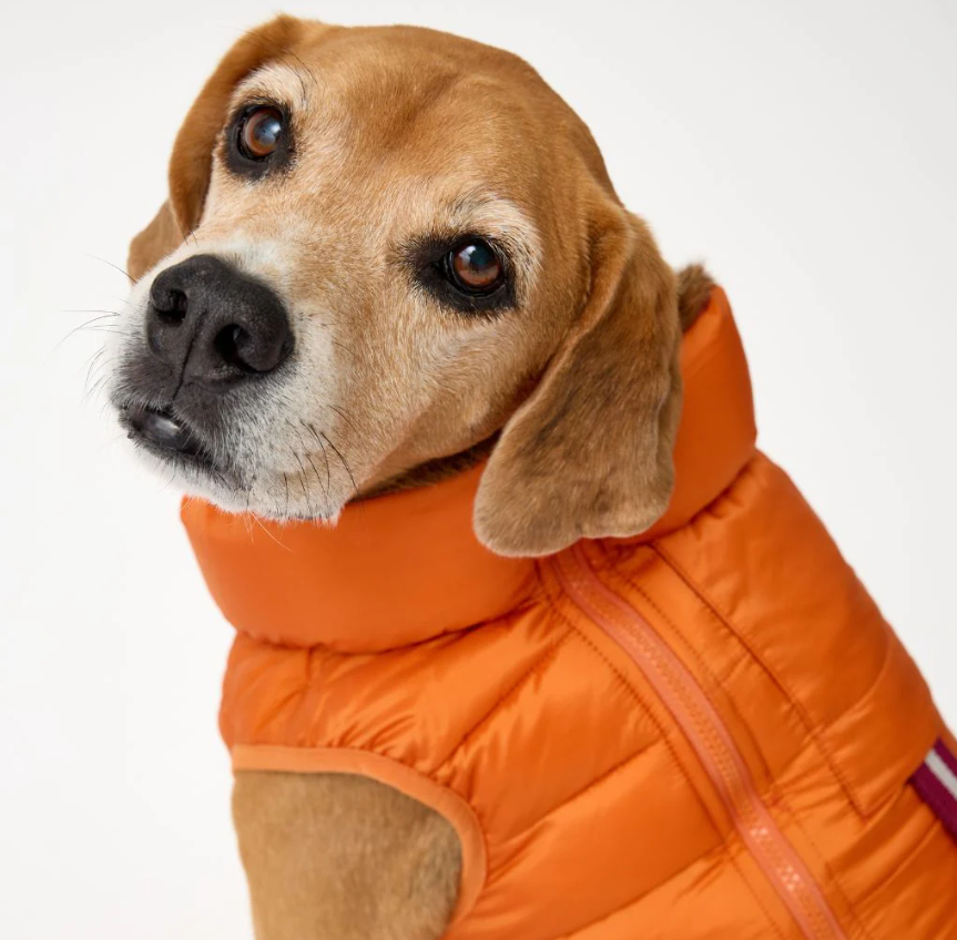 Snoot Style Winterproof Reversible Puffer - Orange & Red