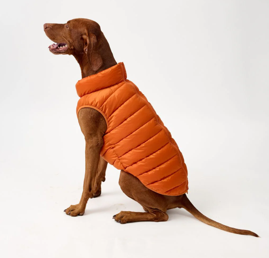 Snoot Style Winterproof Reversible Puffer - Orange & Red
