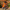Snoot Style Winterproof Reversible Puffer - Orange & Red