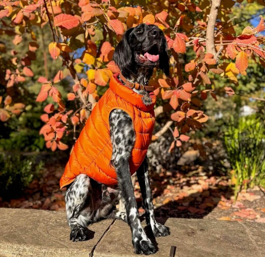 Snoot Style Winterproof Reversible Puffer - Orange & Red