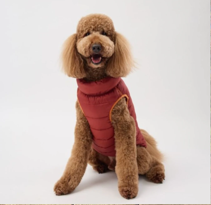 Snoot Style Winterproof Reversible Puffer - Orange & Red