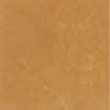 Yellow Canvas