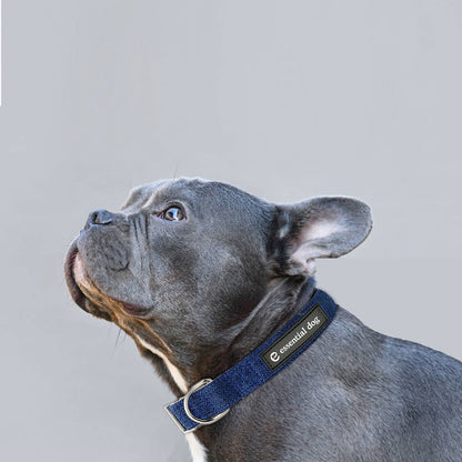 Cute blue french bulldog wearing the Organic Hemp & Cotton Dog Collar Ink Blue against a light background