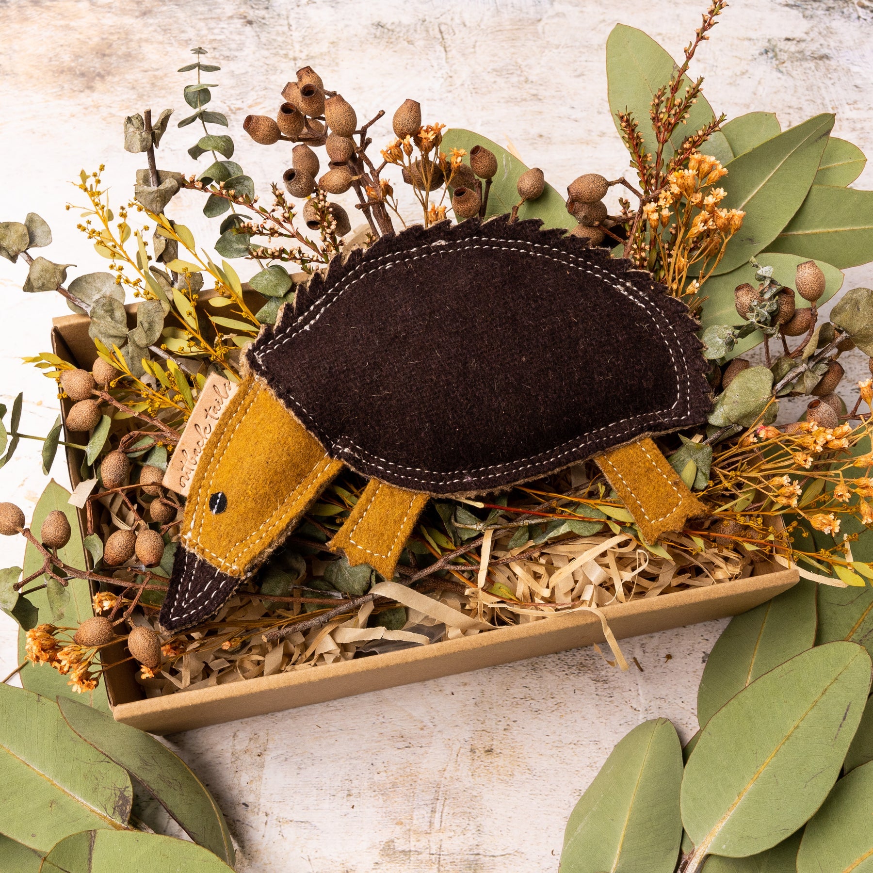 Eco friendly dog toy Ed the Echidna by outback tailslaying on a bed of Australian native plants