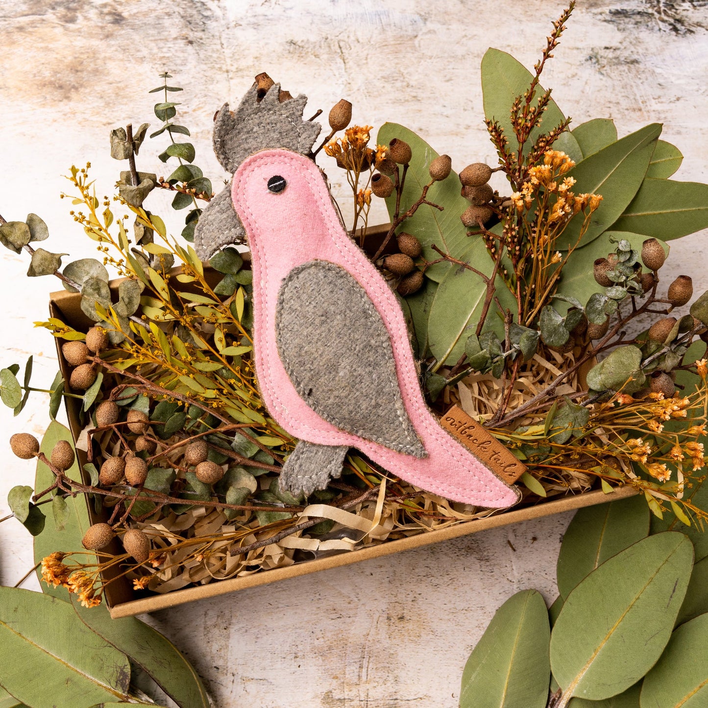 Eco friendly dog toy Gertie Galah by outback tails laying on a bed of Australian native plants