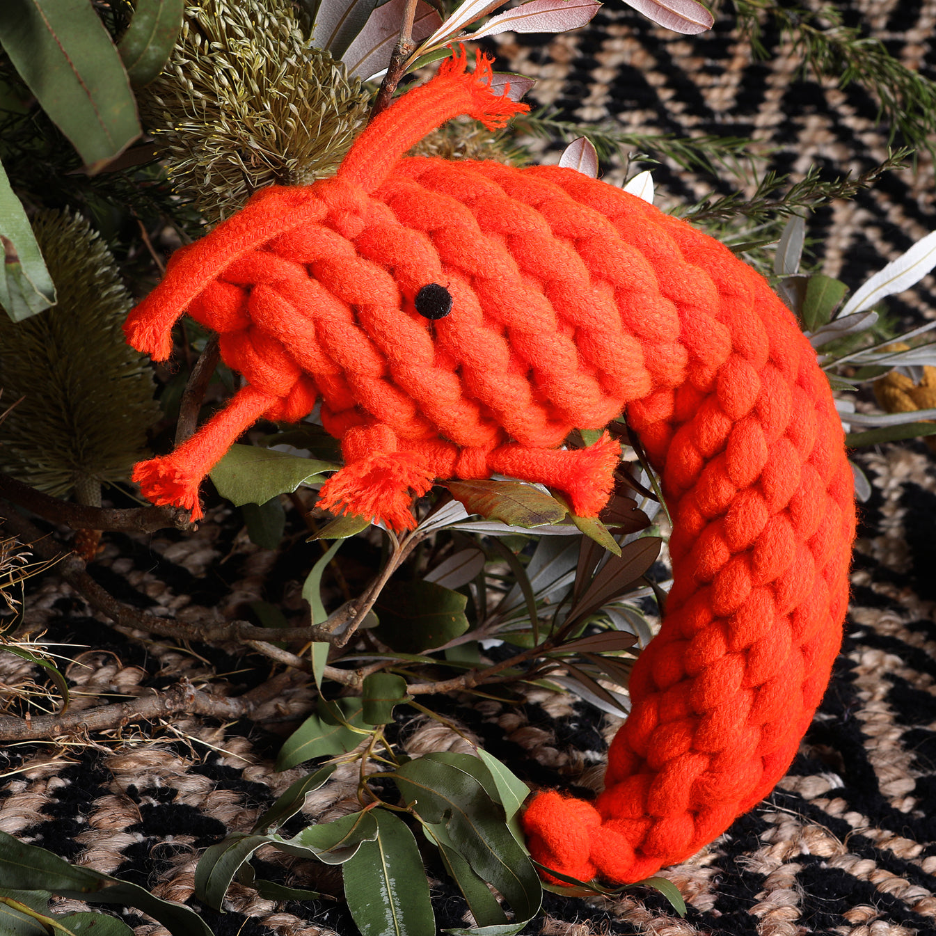 Pam The Prawn. Eco friendly Braided wool Dog Crunch Toy. Orange in colour and on a bed of Australian native plants
