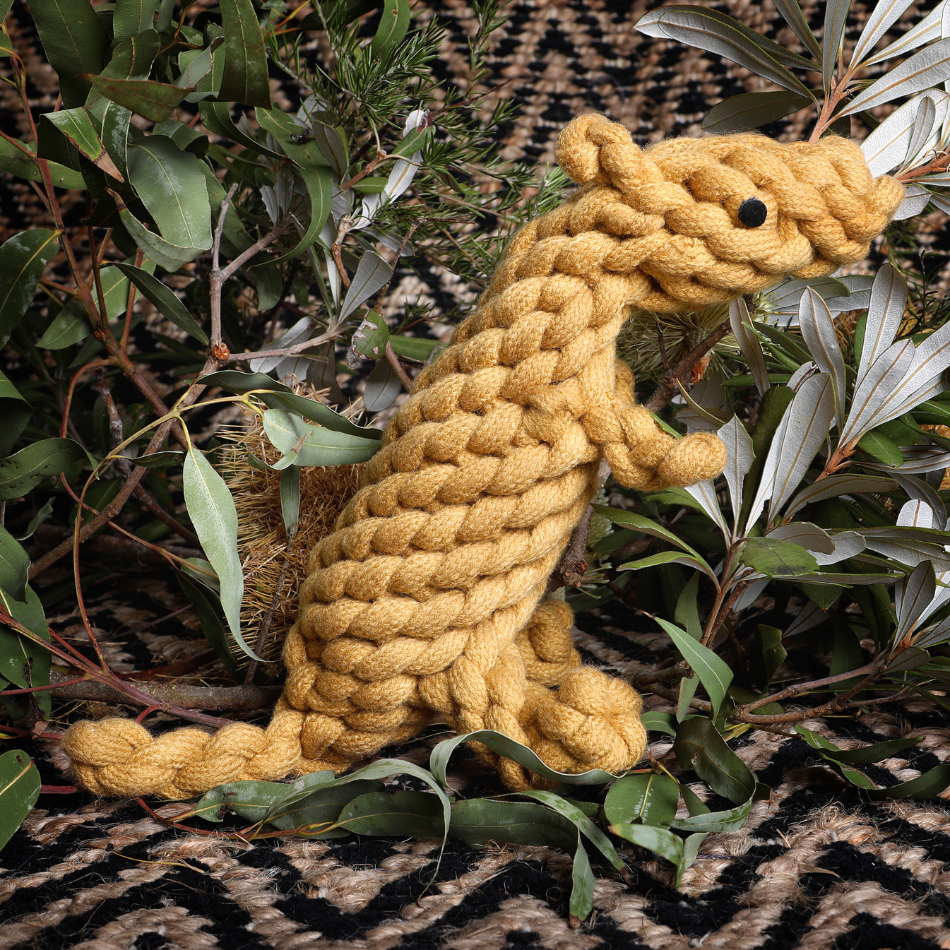 Braided wool eco friendly dog toy Kezza Kangaroo by outback tails on bed of Australian native plants