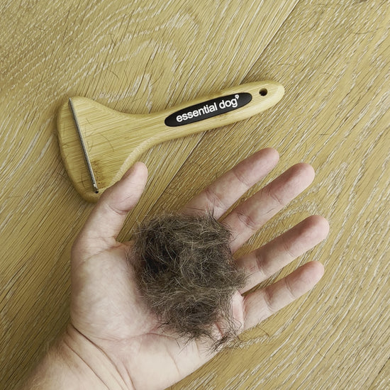 Natural bamboo deshedding brush on wooden floor. Video zooming in on large handful of dog hair removed from using the brush