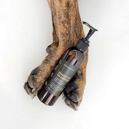 2 dogs paws holding Pump bottle of Sensitive Dog shampoo Chamomile, Orange & Rosewood on a white background